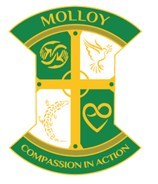 Molloy House crest with symbols of hands, dove, crocodile, and heart